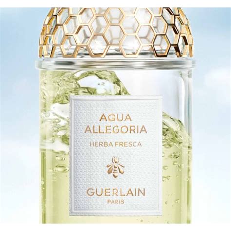 guerlain aqua allegoria refill